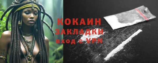 гашик Богданович