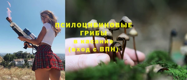 mix Богородицк
