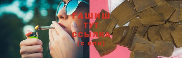 гашик Богданович
