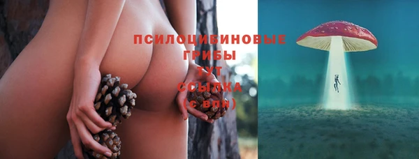 прущая мука Богородск