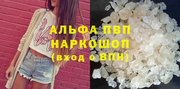 гашик Богданович