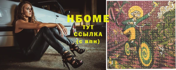 mix Богородицк