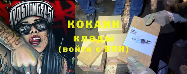 гашик Богданович