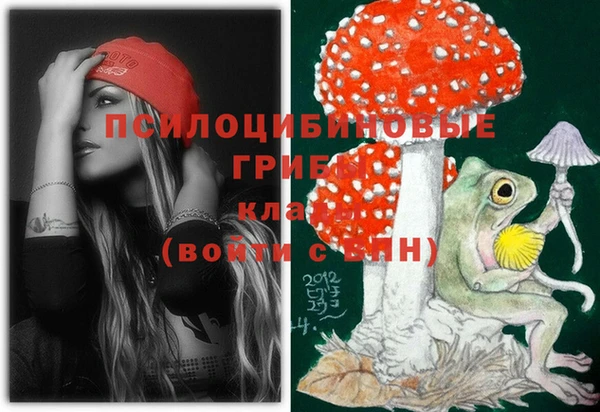 гашик Богданович