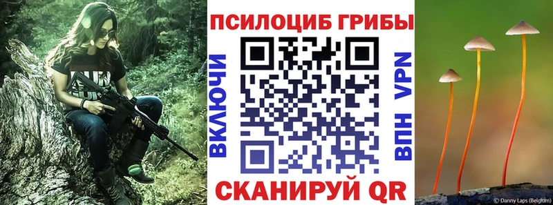 Псилоцибиновые грибы мицелий  Купить  Облучье 